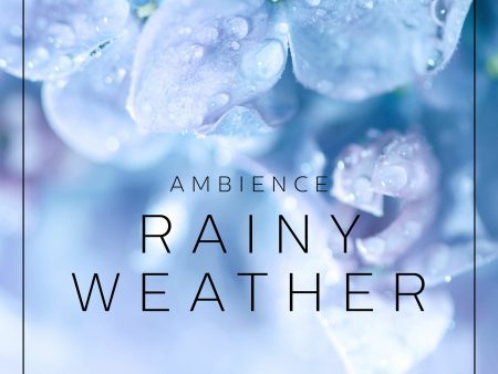 Ambience - Rainy Weather Cheap