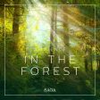 Ambience - In the Forest Hot on Sale