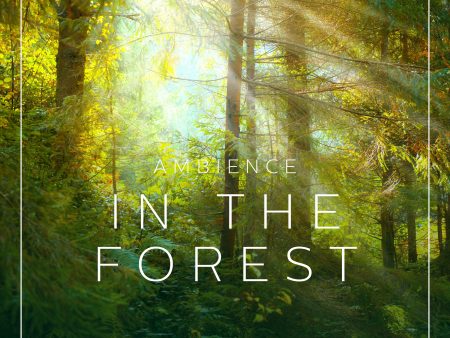 Ambience - In the Forest Hot on Sale